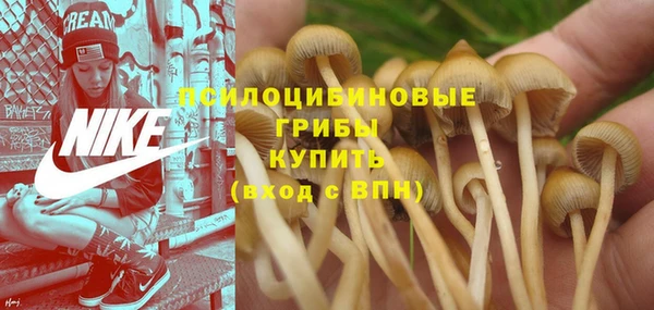 соль курить ск Лабытнанги