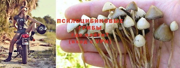 первитин Ладушкин