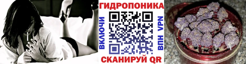 купить наркоту Ядрин Бошки марихуана ГИДРОПОН